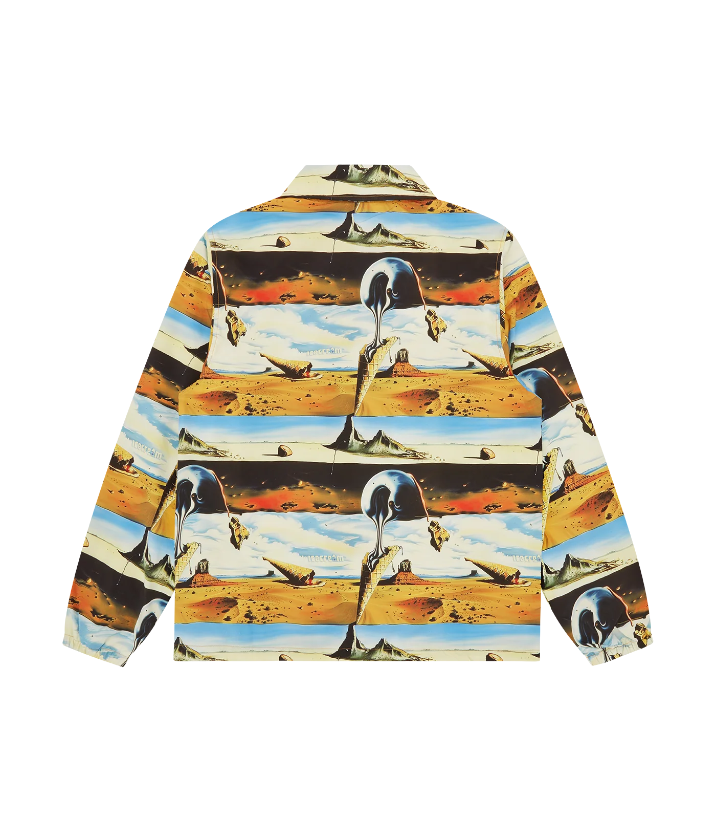 DREAMSCAPE COACH JACKET - MULTI - Image 2