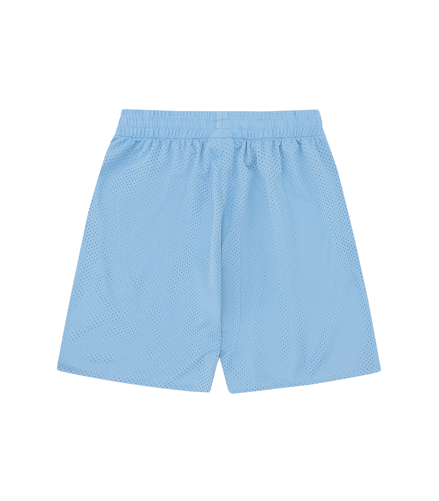 RUNNING DOG MESH SHORTS - BLUE - Image 2