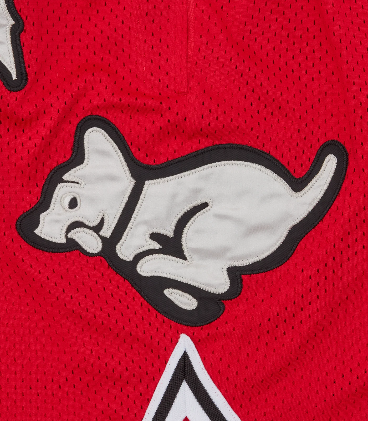RUNNING PUPPY APPLIQUE BASKETBALL SHORTS - RED - Image 5
