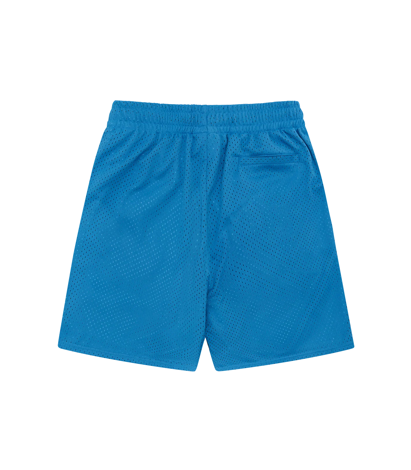 SMALL ARCH LOGO MESH SHORTS - AQUA BLUE - Image 2